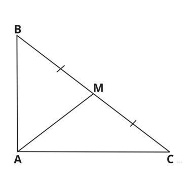 04036mnm-6770-940x940.png