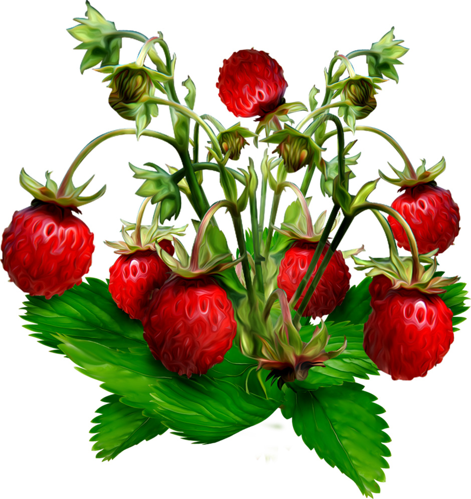 04036mtj-989d-940x996.png