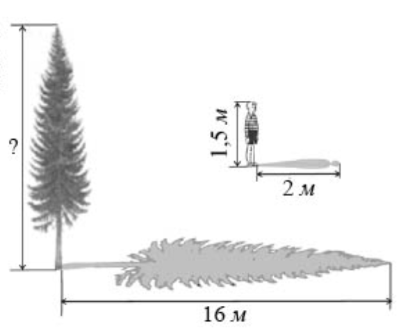 04036myy-9a7a-590x479.png