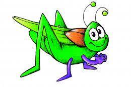 04036or1-e9b0-303x202.jpg