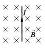 04036qa9-d356-92x98.png