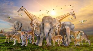 Unit 20. Animals