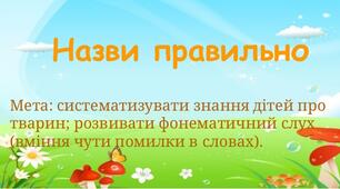 Дидактична гра "Назви правильно"