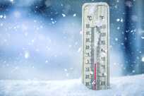 The science of cold