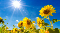 Grey Skies Begone - The Sunny Weather Will Return Tomorrow | LovinDublin