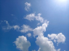 04036tcu-c0c0-229x168.png