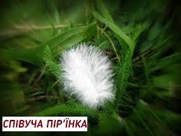 04036tho-4014-259x194.jpg