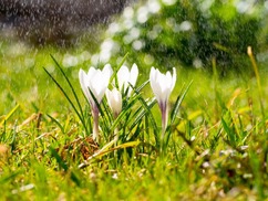 2,214 Light Drizzle Stock Photos - Free & Royalty-Free Stock Photos from Dreamstime
