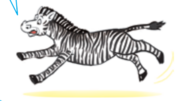 04036vlq-4e60-177x101.png