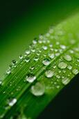 04036w75-0673-114x171.jpg