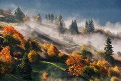 04036w8w-6f12-237x159.jpg