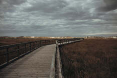 04036w9d-1e1c-233x156.jpg