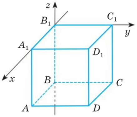 04036y5l-83ed-439x374.png