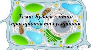 (Копія) Узагальнення. Прокаріотичні та еукаріотичні клітини
