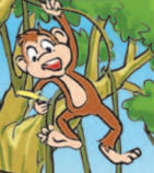 040370tg-8d25-141x158.png
