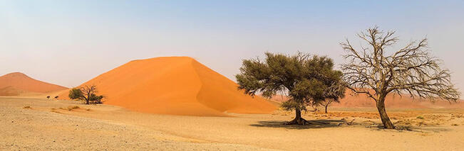 040375v5-c632-651x213.jpg