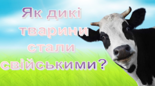 Презентація "Як дикі тварини стали свійськими"