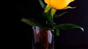 На могилу свіжу... наречена ніжна....  жовті орхідеї вкотре принесла...