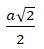 04037bof-59d6-56x62.png
