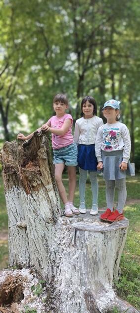 04037by4-346c-283x629.jpg