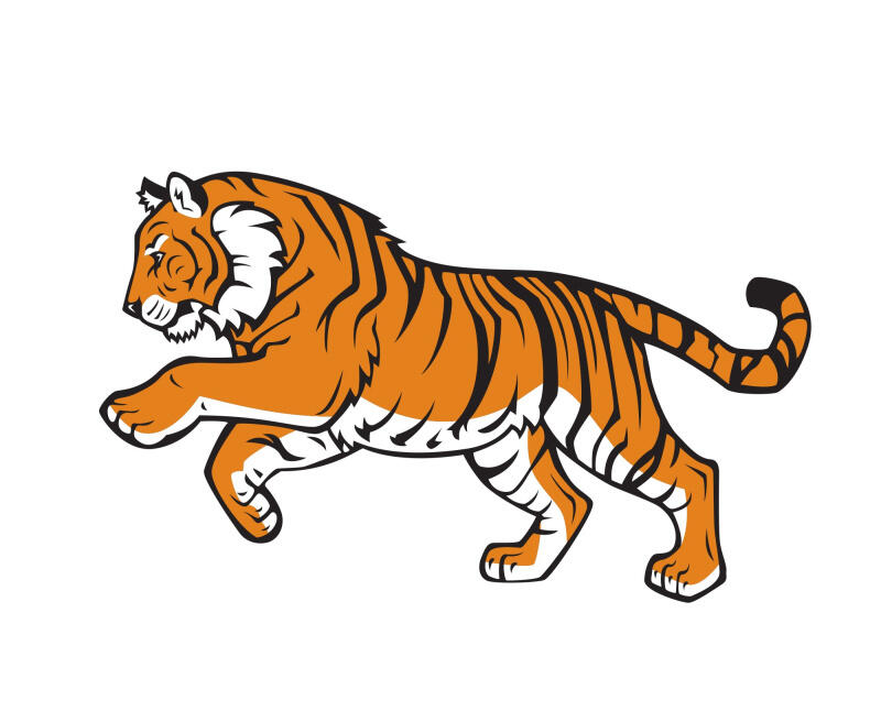 04037c4c-6388-800x656.jpg