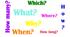 Word order in questions