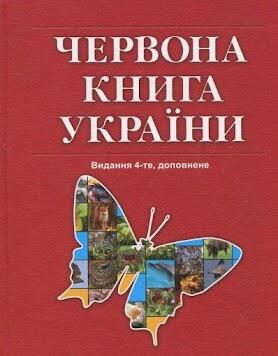 Зображення без підпису
