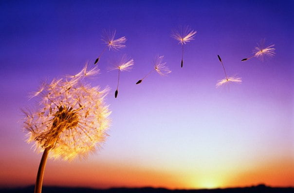 04037hie-2514-940x619.png
