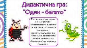 Дидактична гра: " Один - багато"