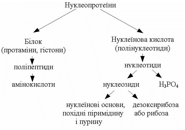 04037iov-3bf3-595x419.png