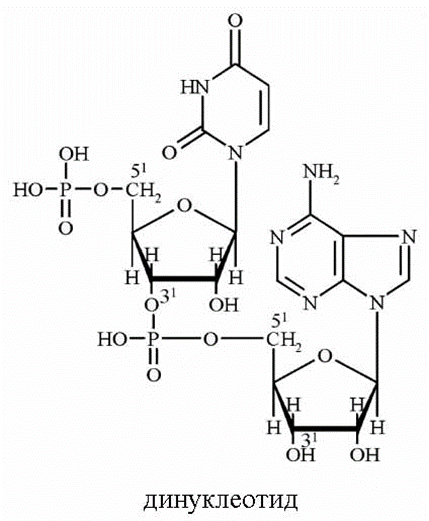 04037ioy-f2ca-429x521.png