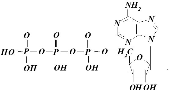04037ipg-f571-556x308.png