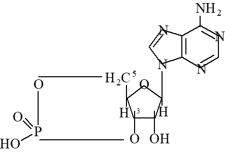 04037iph-b2ea-443x301.png
