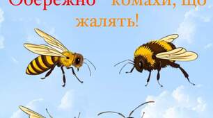 Небезпечні комахи