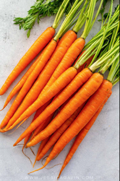 04037k53-5915-247x370.png