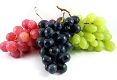 04037k59-b401-386x265.png