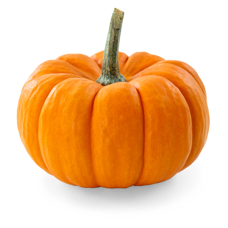 04037n0q-cc35-800x800.png