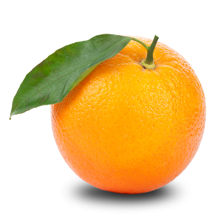 04037n1i-150d-744x744.png