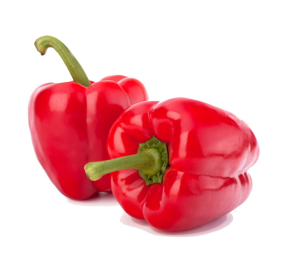 04037n1l-0456-940x860.png
