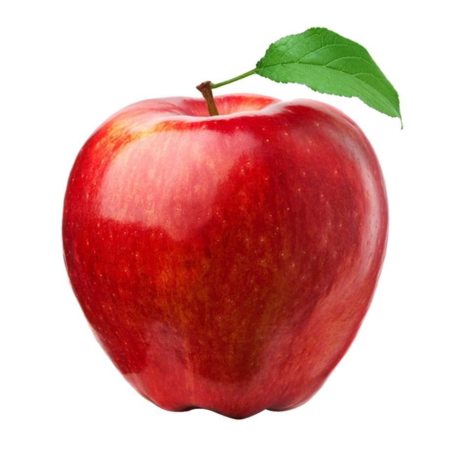 04037n3s-9f67-940x941.png