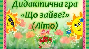 Дидактична гра "Що зайве?" (Літо)