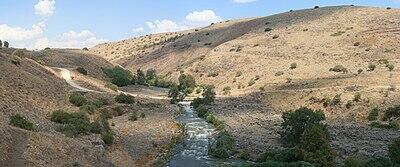 04037pte-e998-400x167.jpg