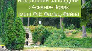 Подорож до заповідника "Асканія-Нова"- інтегроване заняття (розвиток мовлення +ознайомлення з природним довкіллям)