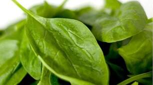 Про шпинат 🌱