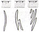 04037vge-f459-138x111.png