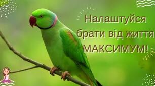 07 червня