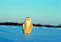 04037xx1-b2a5-200x138.jpg