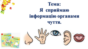 Я сприймаю інформацію органами чуття. І. О. Большакова, М. С. Пристінська. 2 клас. І частина