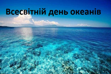 040384dc-51b4-378x251.png