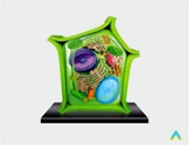 040384vr-fe55-171x131.png